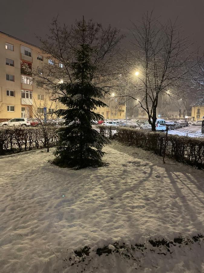 Twin Apartments Сибиу Экстерьер фото